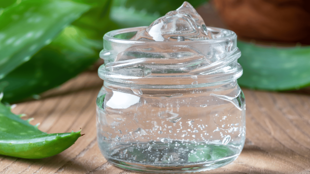 Why aloe vera is called fountain of youth